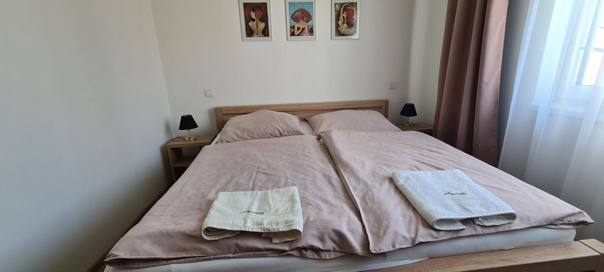 Apartman U Toma Frýdlant nad Ostravicí Buitenkant foto