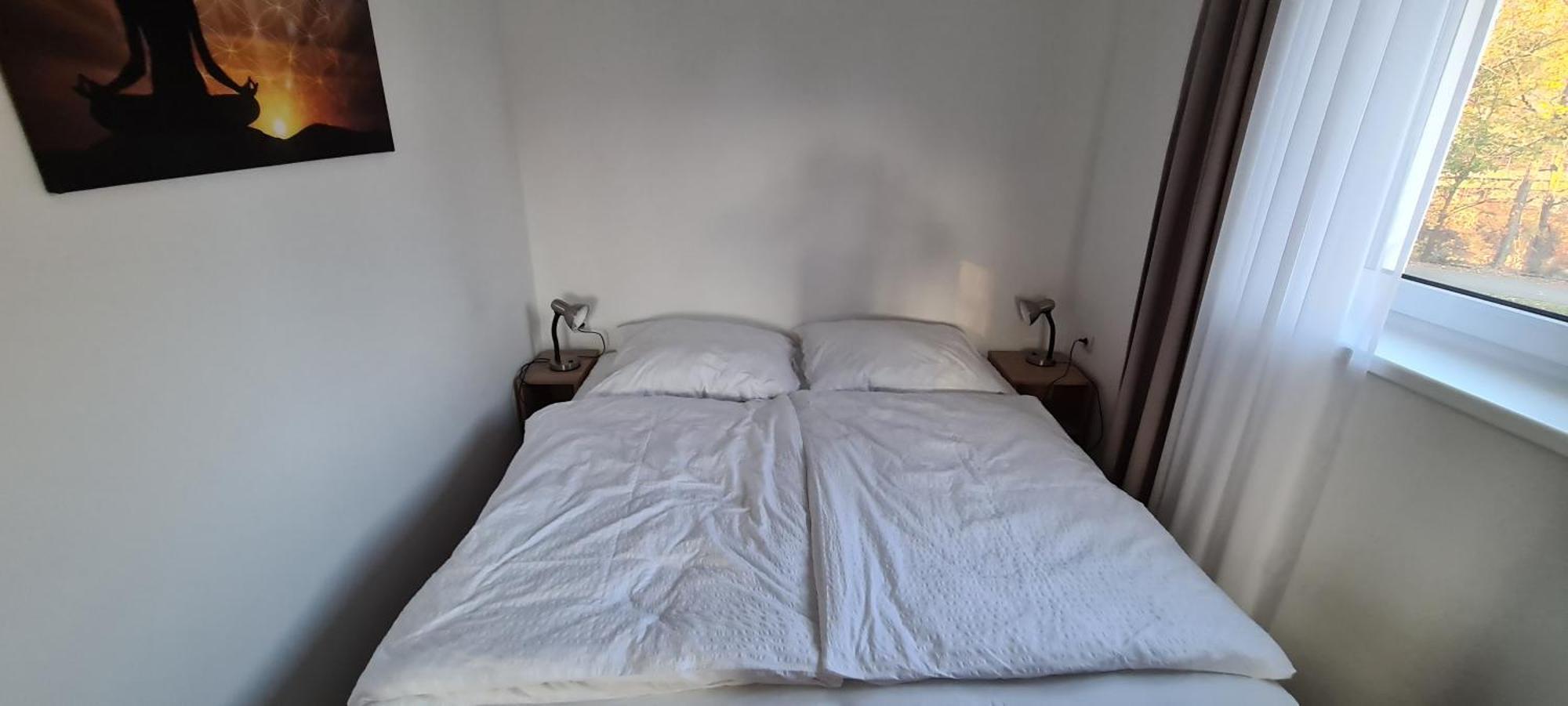 Apartman U Toma Frýdlant nad Ostravicí Buitenkant foto