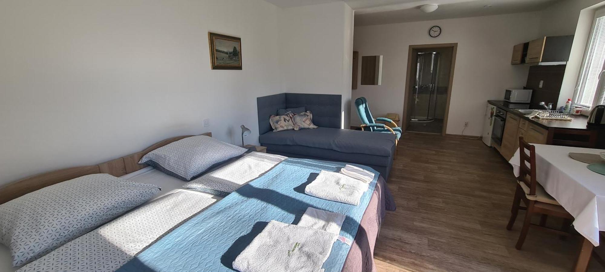 Apartman U Toma Frýdlant nad Ostravicí Buitenkant foto